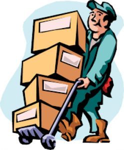 Professional mover carrying boxes, helping people with moving to Sao Paulo