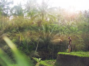 Dressing for rainforest is different from dressing in the city