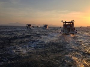 Fishing ships like these ones are commonly found off the Sao Paulo shoreline.